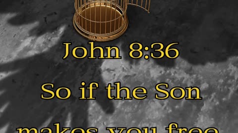 John 8:36