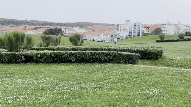 Beach at Biscarrosse 1