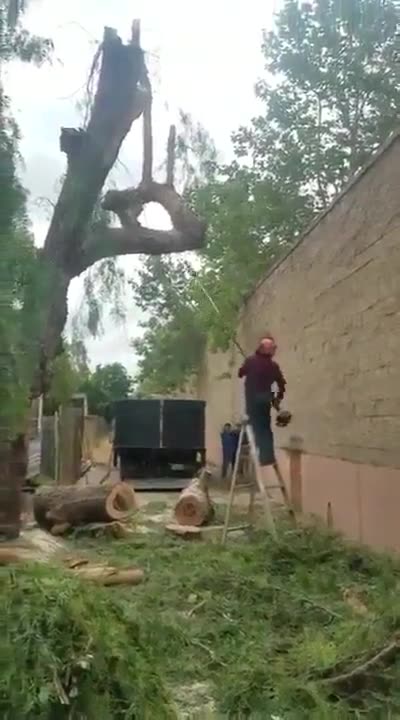 When nature takes revenge that you destroy it