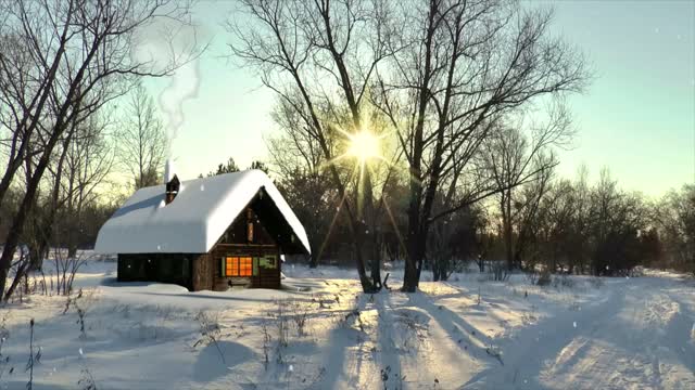 Winter Nature Snowflake