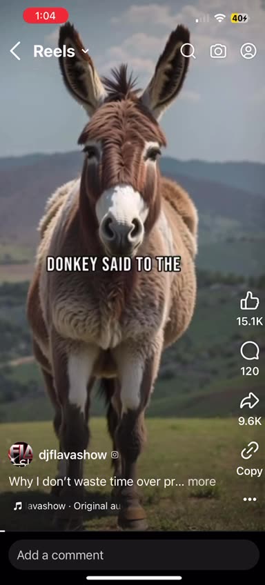 The Donkey and The Tiger