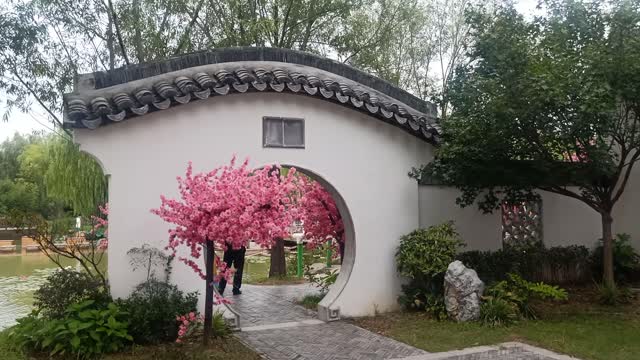 The flowers on this tree are so dense