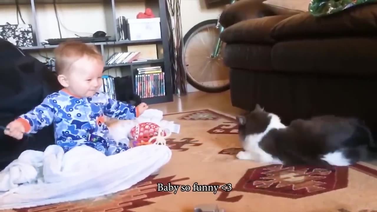 Baby playing with cats