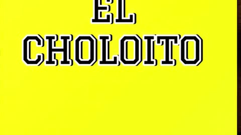 Why Everyone’s Talking About El Choloito! Have You Got Yours? #ElCholoito #NotebookGoals