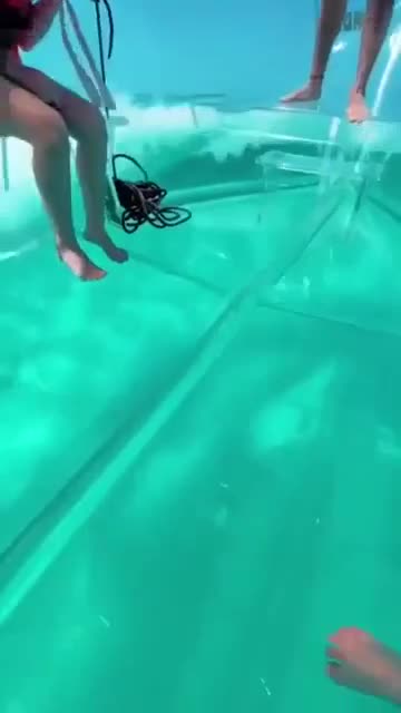 Finally, they thought of making the bottom transparent