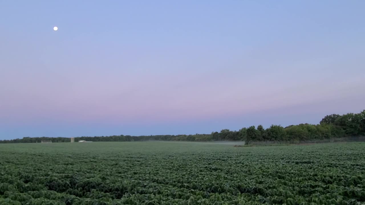 Moment With Nature And The August Moon