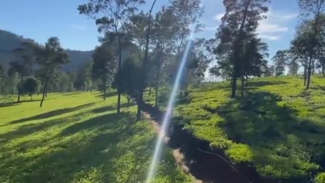 WOOW.. Beautiful Morning Indonesia