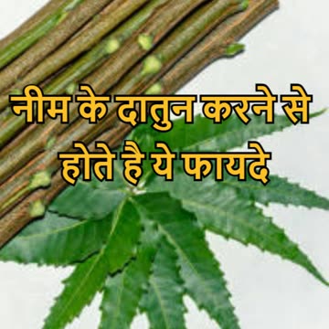 Neem Kai Datun Ke Fayde