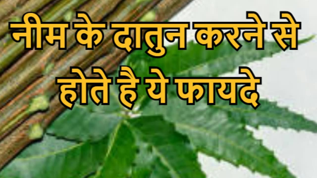 Neem Kai Datun Ke Fayde