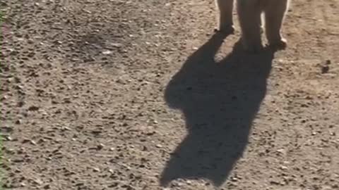 Please hold my hand