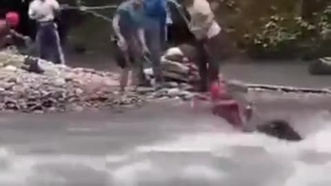 Shorts - Dunking