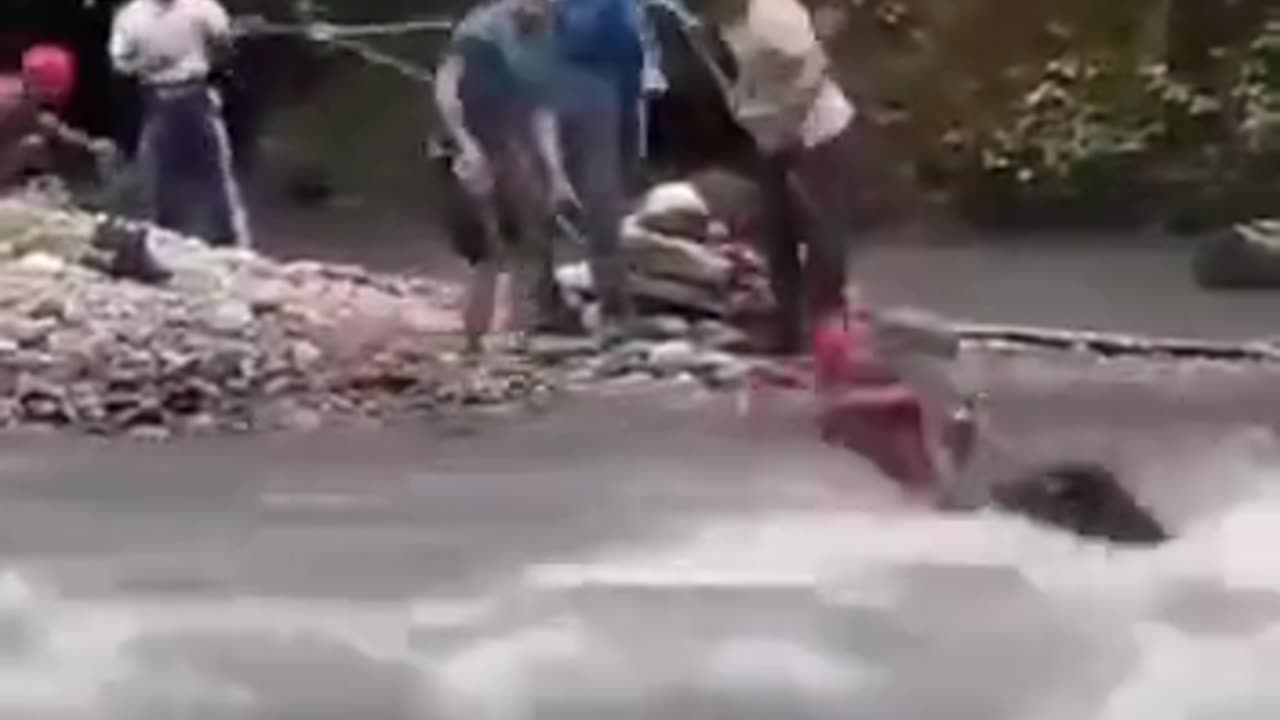 Shorts - Dunking