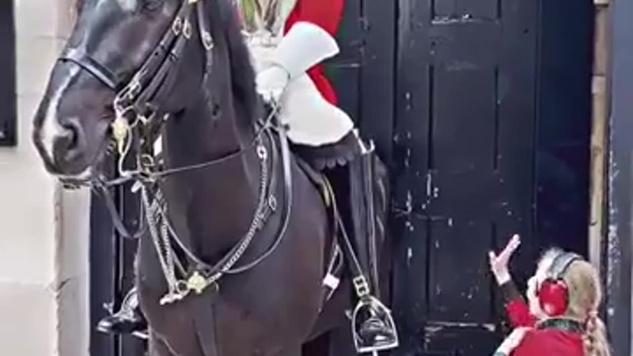 Just beautiful....this is the respect both the guard and horse deserve.