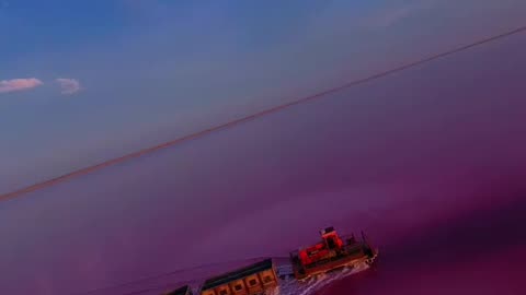 The train in the pink waters