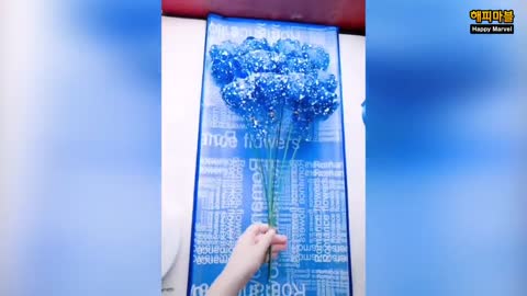 Whoops of the Continent!~ 15 Masters in the Sound of Life