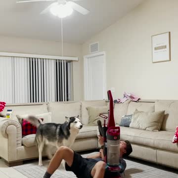 Will Your Dog help You if your Being ATTACKED?