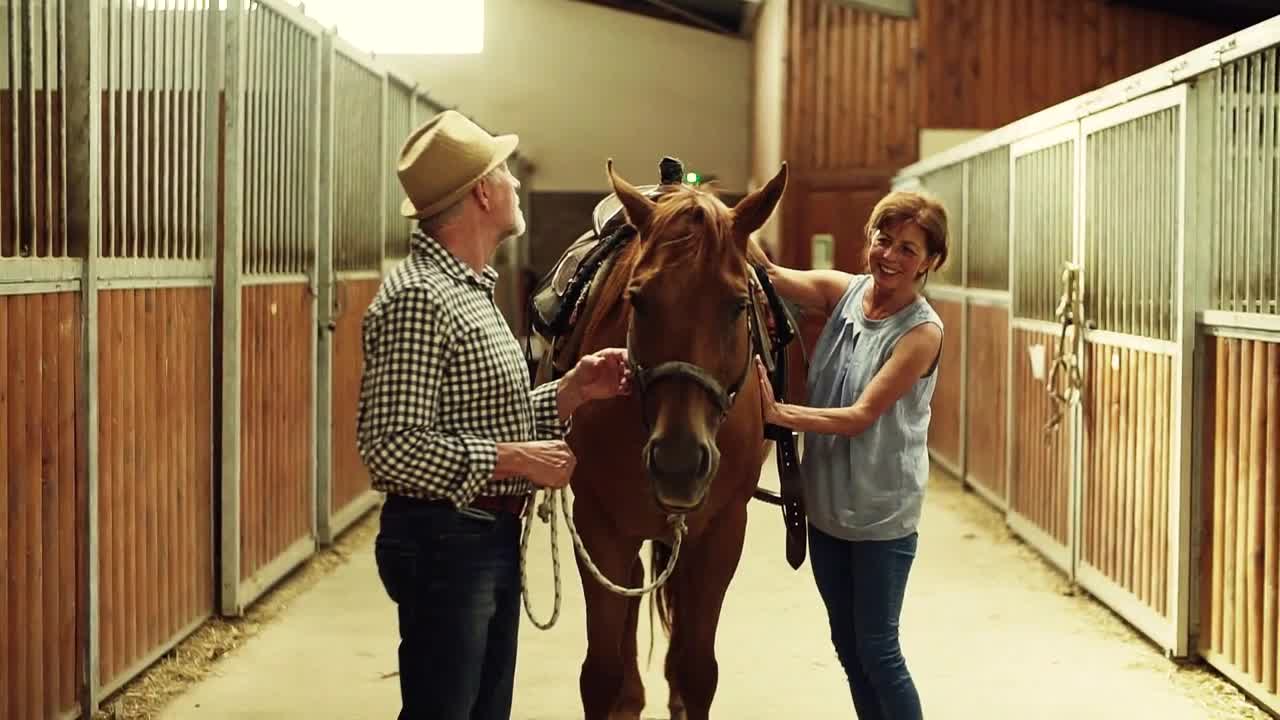 A joyful senior couple petting a horse in a stable