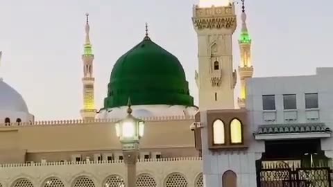 Roza Rasool S.A.W