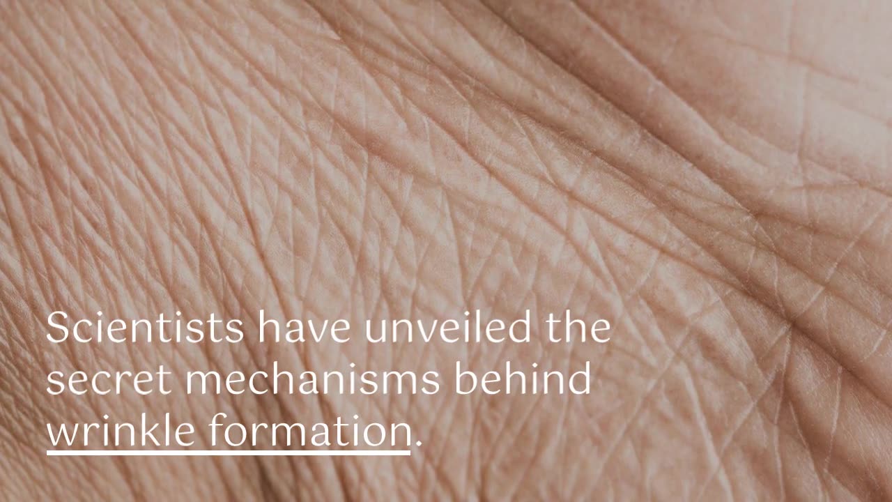 The Mystery of Human Wrinkles: Scientists Unveil Secret Mechanisms