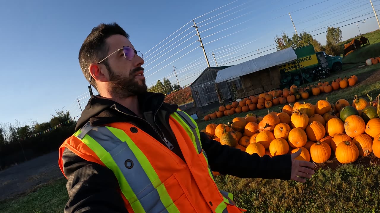 🎃🫑🥕 Support Your Local Farmer 🍂 Cedarview Pumpkin Patch 🎃🍇🍎🍉Farm Stand In Ottawa 🌎 Canada 🍁🍆🍄‍🟫🍋‍🟩🍋