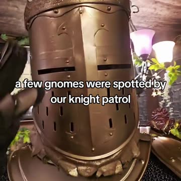 We will capture all gnomes