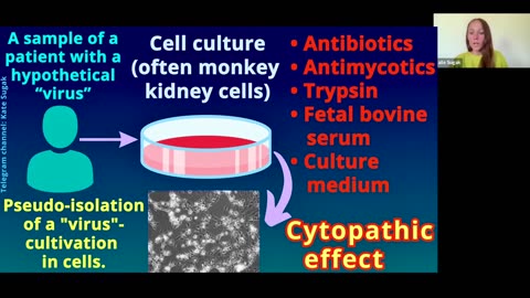 The scientific vacuum: The scientific method and its absence in virology.