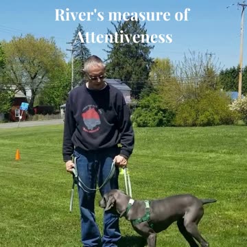 River's 5 PoP Let's Go part 2