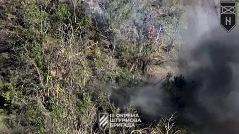 Ukrainians Clearing the Forest Strip