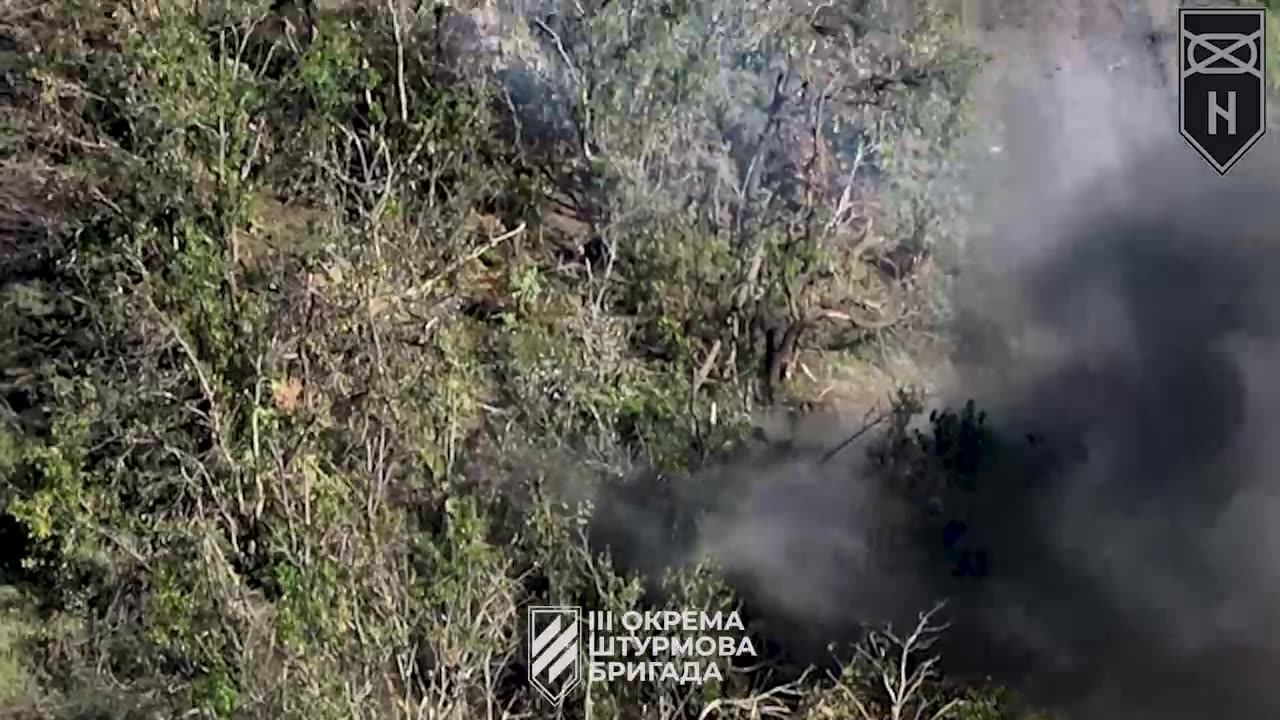 Ukrainians Clearing the Forest Strip