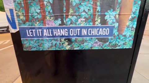 Chicago DNC Ad