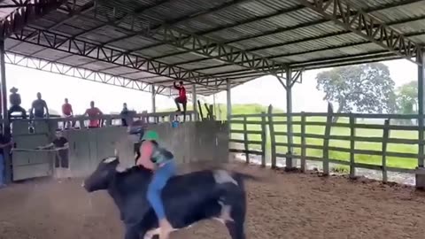 Bull`s Revenge In Costa Rica