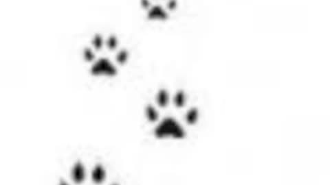 What Goes Around, Comes Around