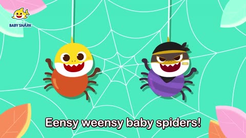 [1 HOUR] Eensy Weensy Spiders Went Up the Water Spout | Best Song for Kids | Baby Shark Official
