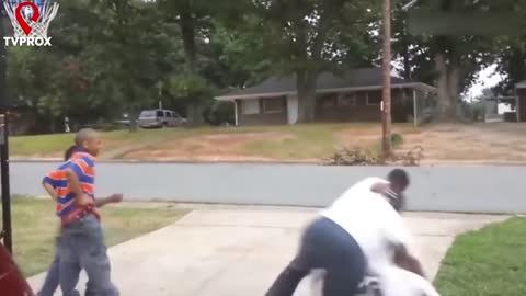 Funniest moments this year so far videos
