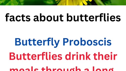 facts about butterflies....6/25