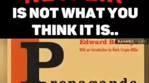 Netflix is not what you think it is