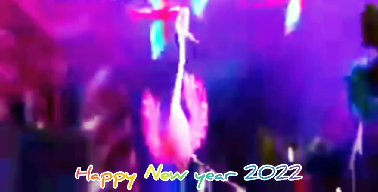 Birds video funny. New years 2022