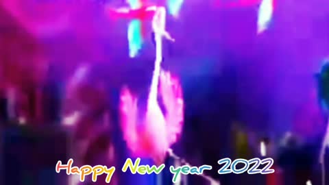 Birds video funny. New years 2022