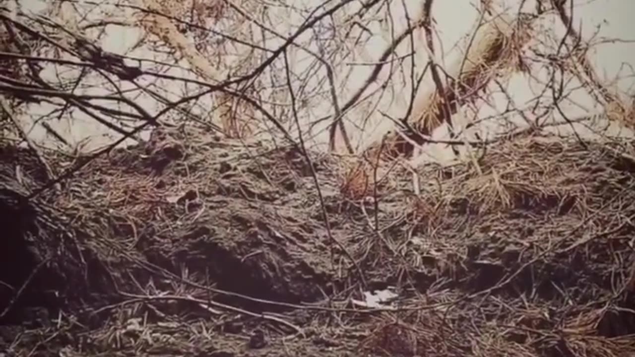 🇷🇺 ATGM Operators Under Fire with Cluster Munitions | RCF