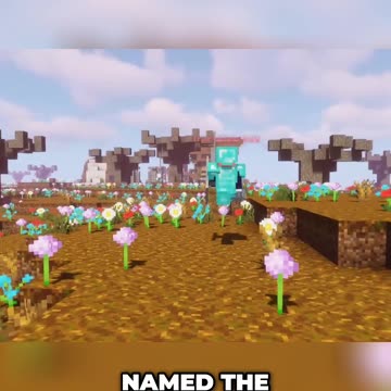 The Secret 5th Island: A Mysterious Discovery in Minecraft