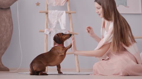 Beautifuly play with Charlie