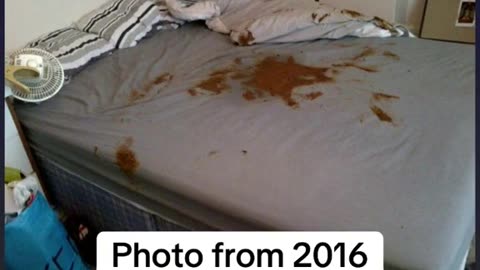 New crime scene evidence from Diddy