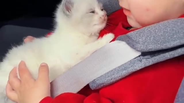 Cute baby cat love.....Please subscribe channel