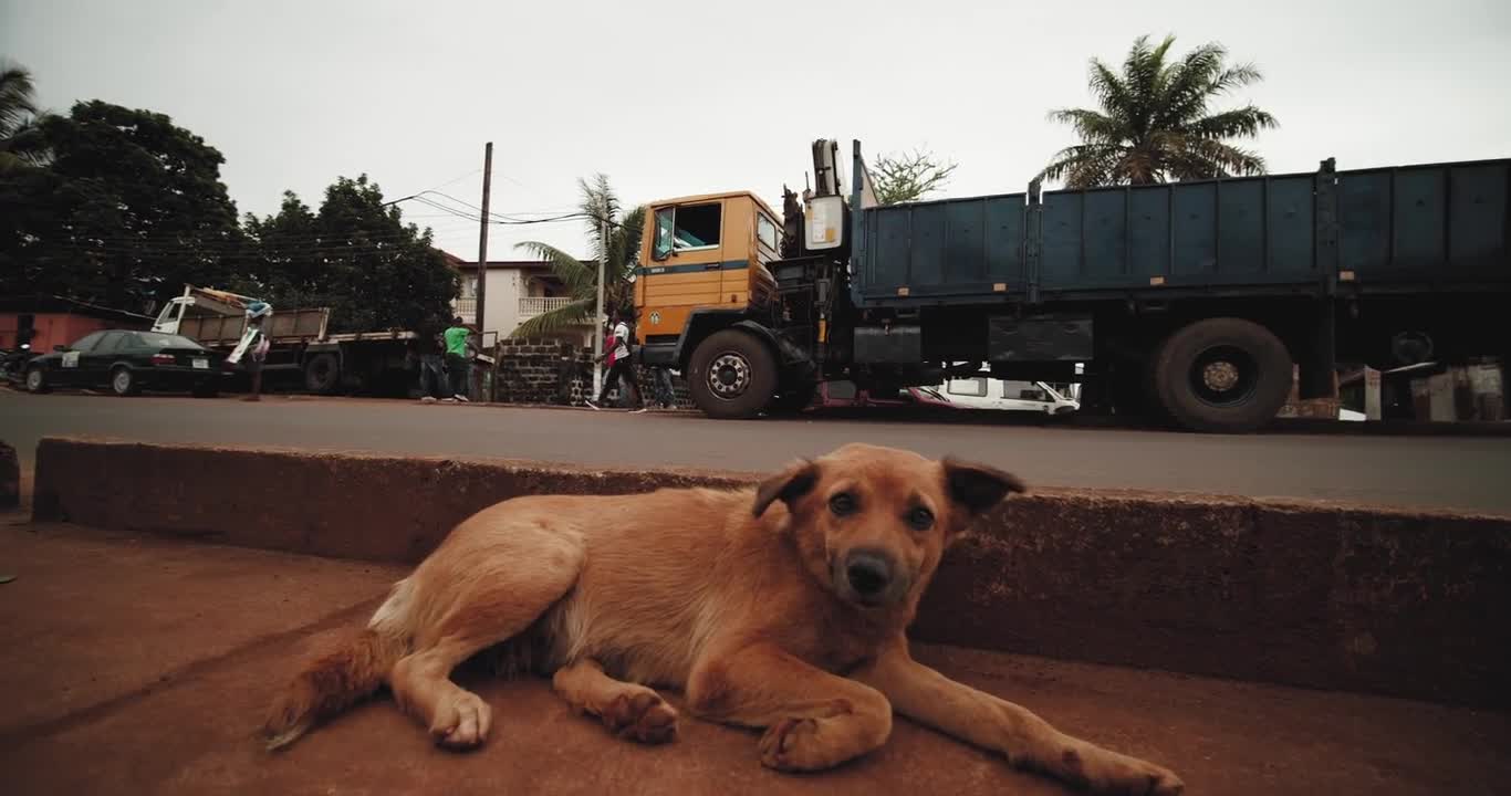 Look at this puppy, he loves to visualize, and loves the camera