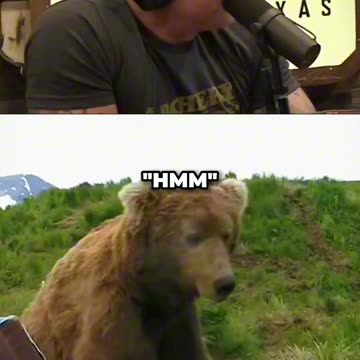 Bear sits next to a guy