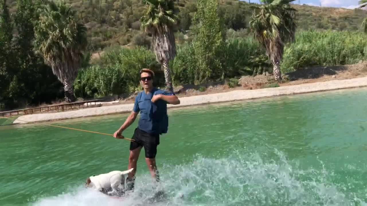 Doctor Brushes Teeth while Riding Wave with his Dog