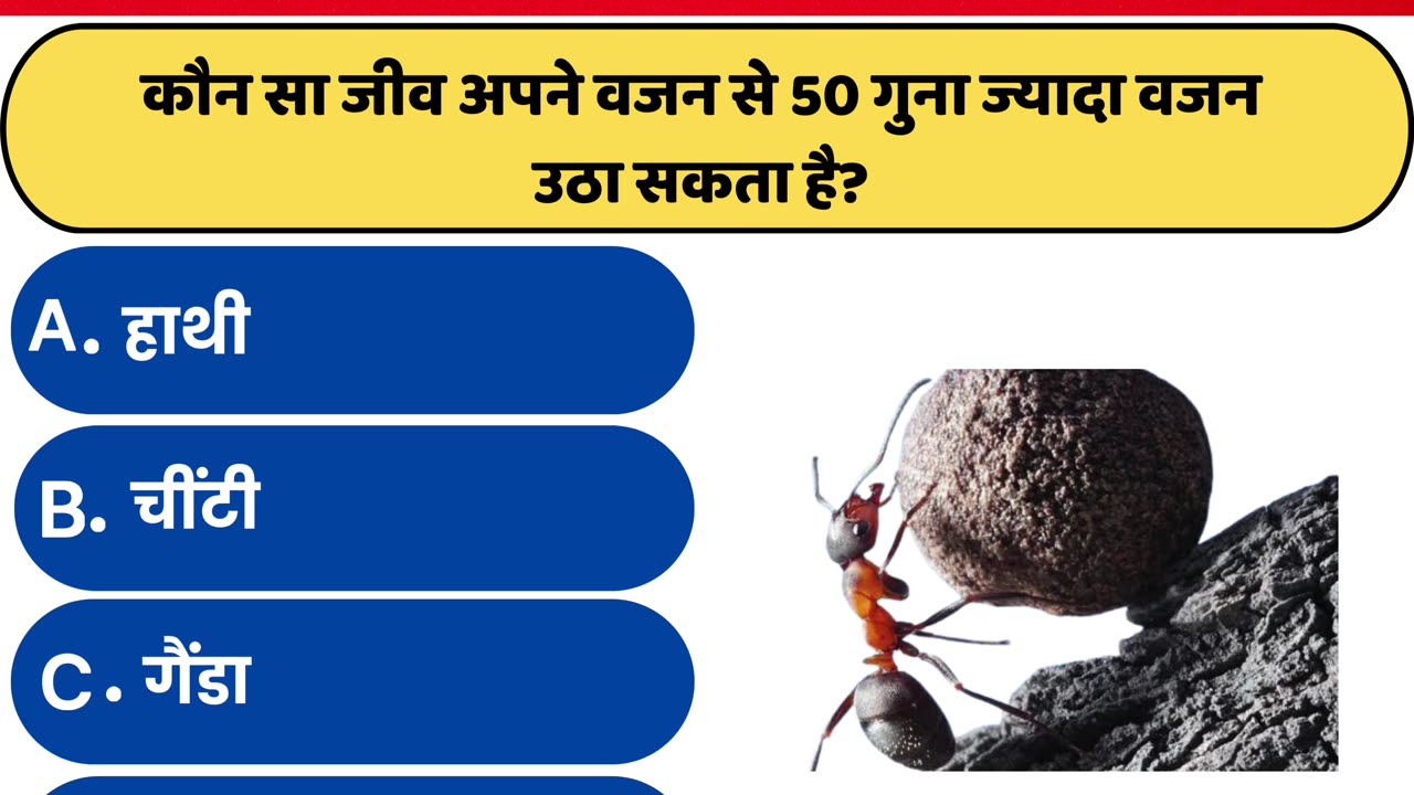 GK IN HINDI || GK QUIZ VIDEO || GENERAL KNOWLEDGE ||GK QUESTION 2024 || ANIMAL GK QUESTIONS