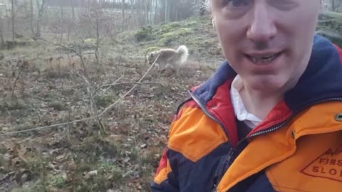 Vad gör hunden i skogen? Direktsändning om Mag/Magda med mitt unika synsett kl 21:00