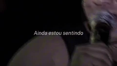 Um Degrau Na Escada - Calcinha Preta 🎵