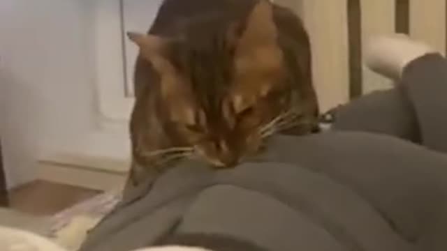 🤣